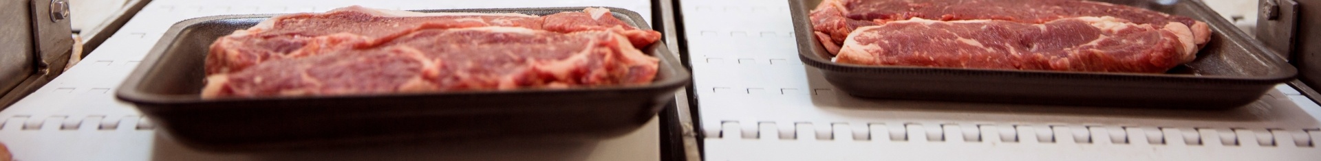 Dyno Meat processing maintenance guide